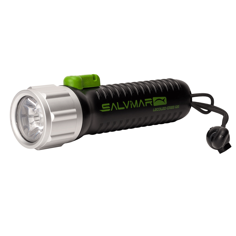 Light Salvimar Lecoled Black 340 lumen